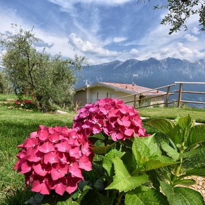 Apartments - Apartments mit Blick auf den Gardasee