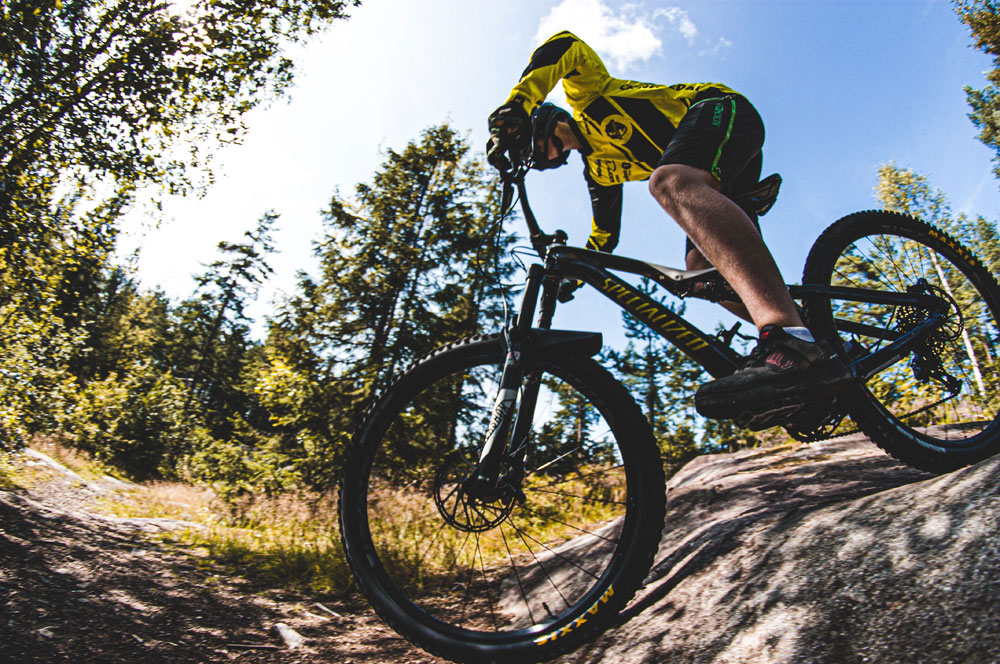 E-bike & Mountain bike